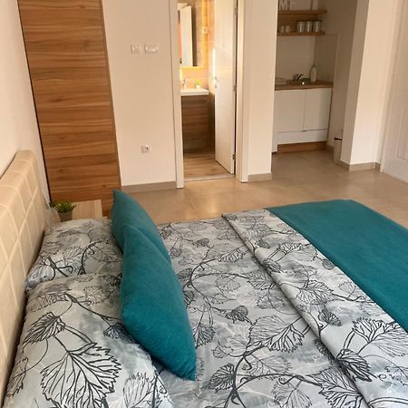Apartmani Tesla Сокобаня Екстер'єр фото