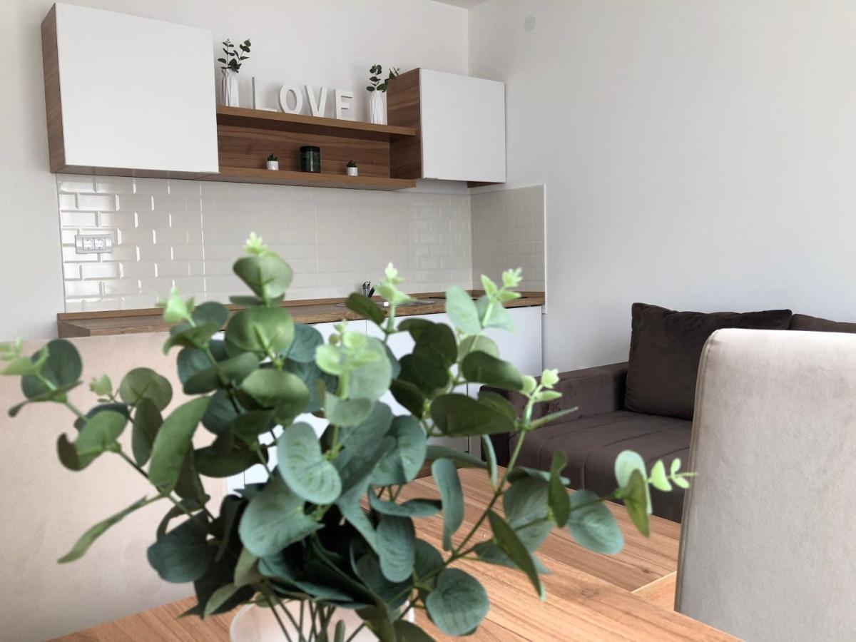 Apartmani Tesla Сокобаня Екстер'єр фото